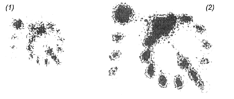 Bilder der Magnetlinse für verschiedene Brennweiten