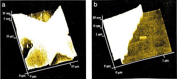 AFM-Aufnahme der Strukturkante